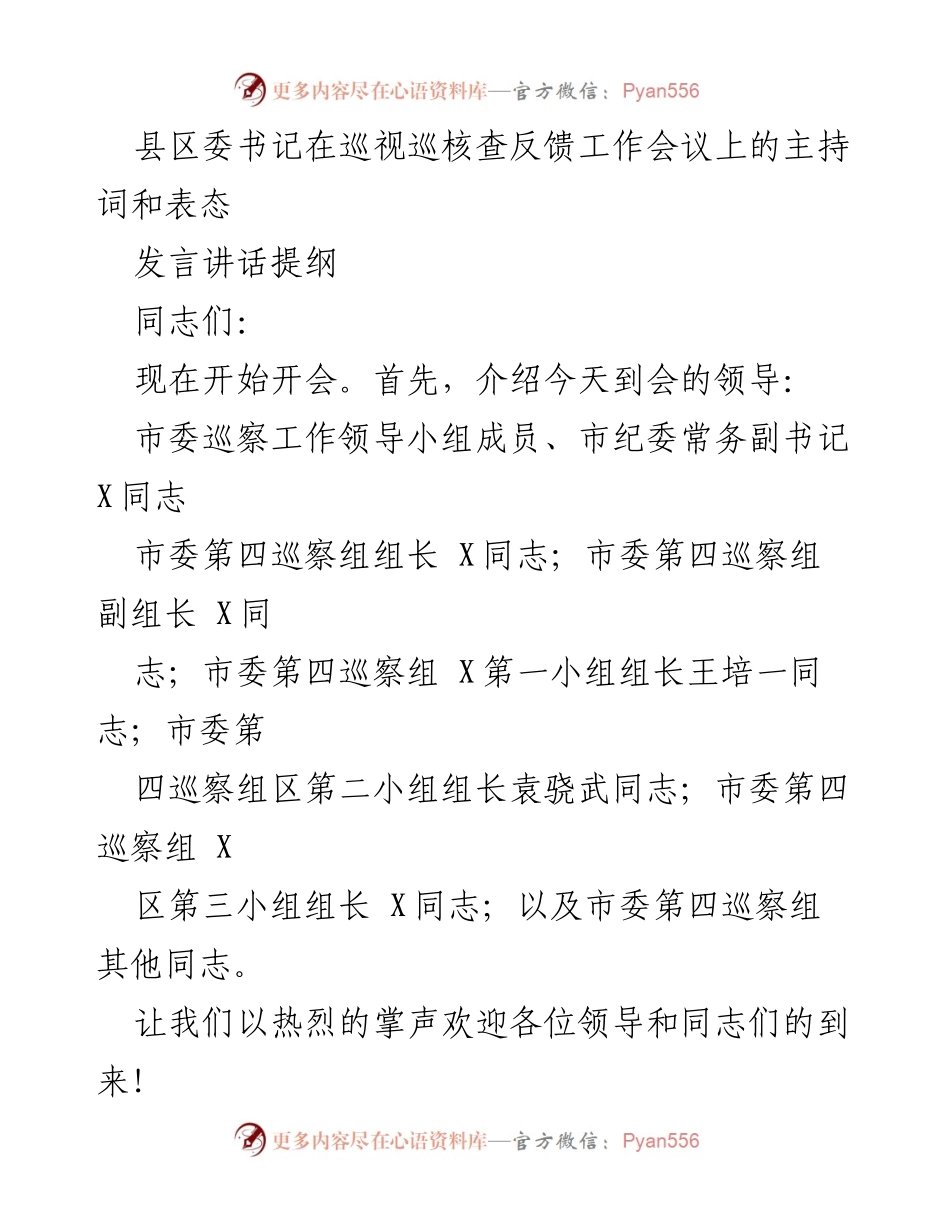 [发言] 巡视巡核查反馈工作会议 - 巡察反馈意见的重要性与整改表态.docx_第1页