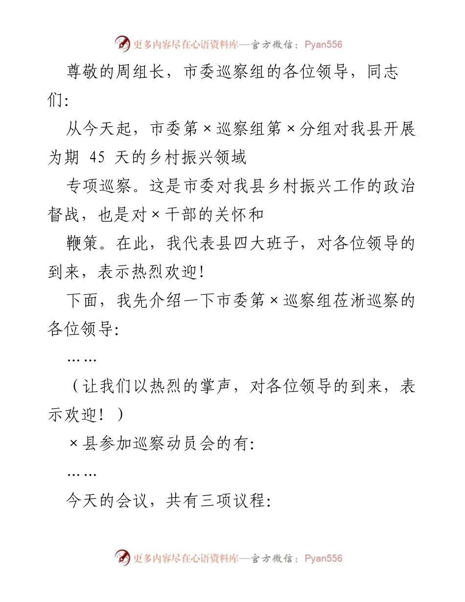 [发言] 市委第×巡察组乡村振兴领域专项巡察动员会致辞.docx_第1页