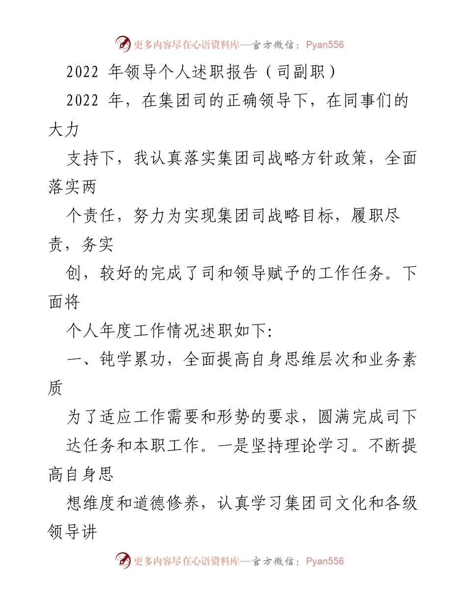 [发言] 年度述职 - 2022年度领导个人述职报告总结_1.docx_第1页