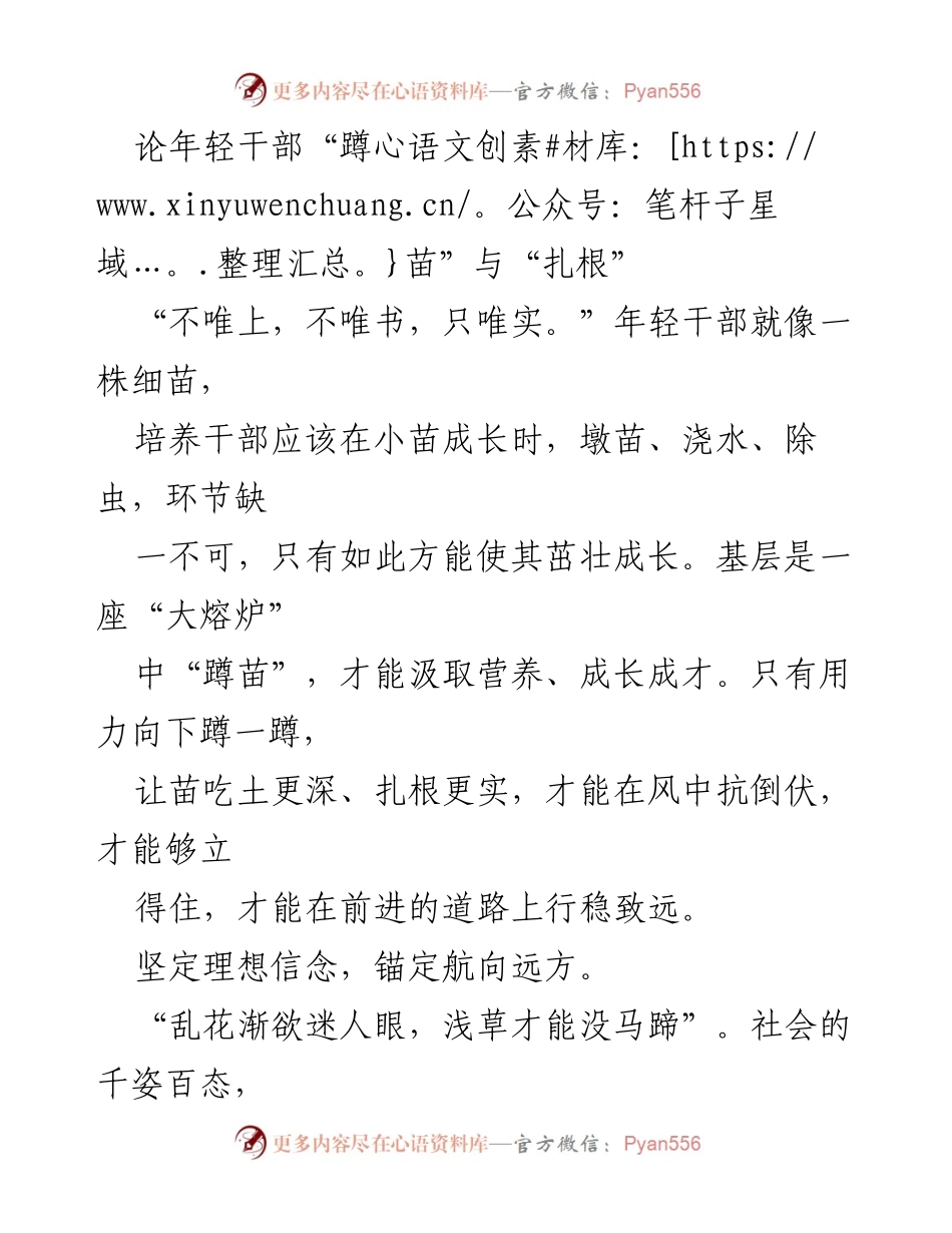 [发言] 年轻干部培训 - 深耕基层，扎根成长：年轻干部的理想与担当.docx_第1页