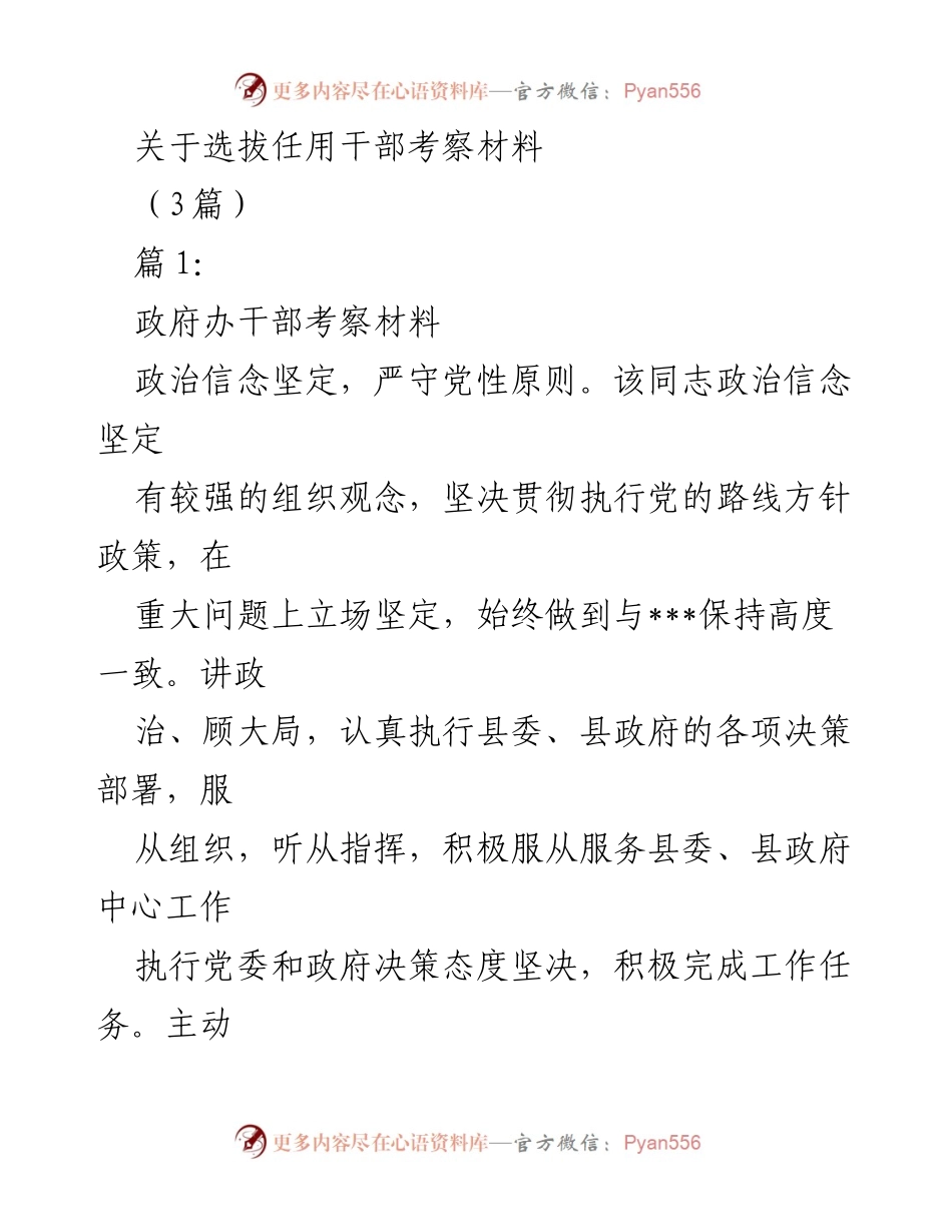 [发言] 干部选拔任用 - 干部考察材料总结_1.docx_第1页