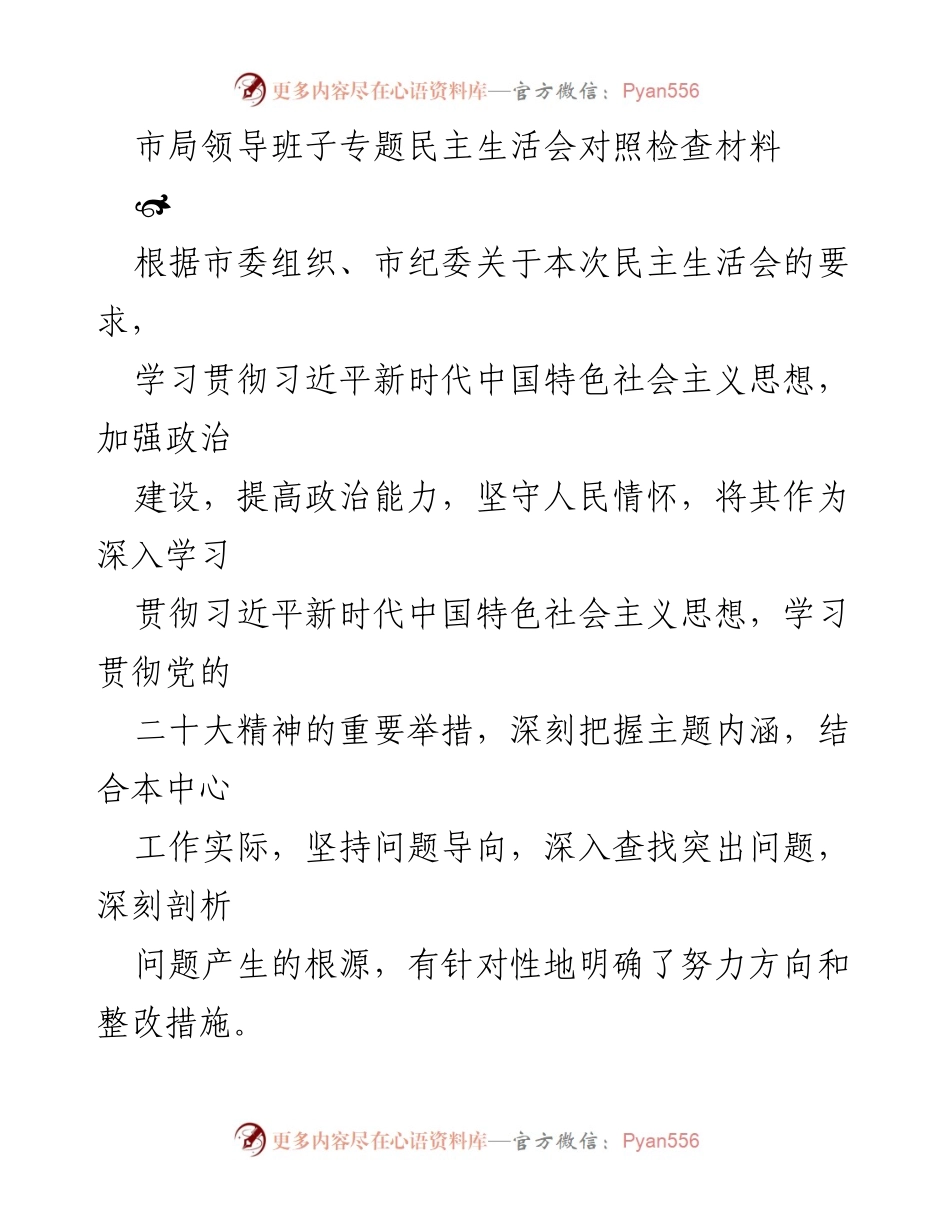 [发言] 市局领导班子专题民主生活会 - 深入查找问题，提升政治能力与理论学习.docx_第1页