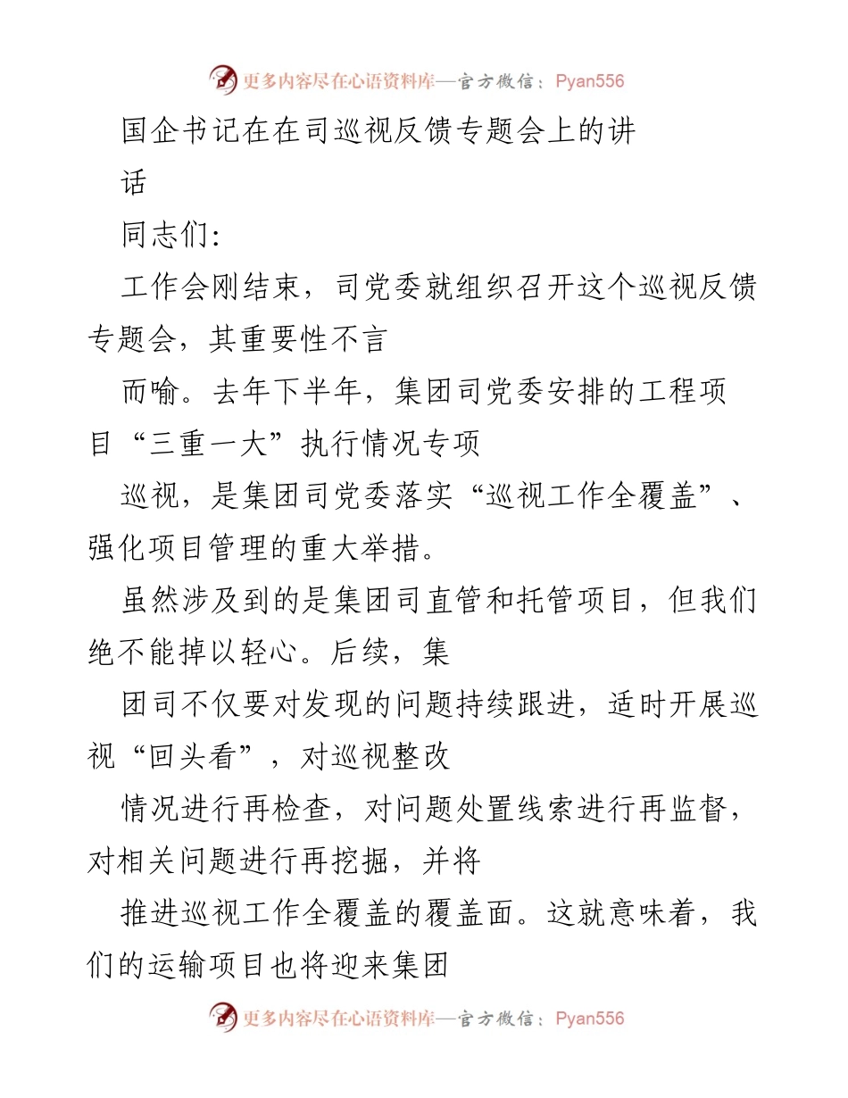 [发言] 巡视反馈专题会 - 强化巡视整改，提升项目管理水平.docx_第1页