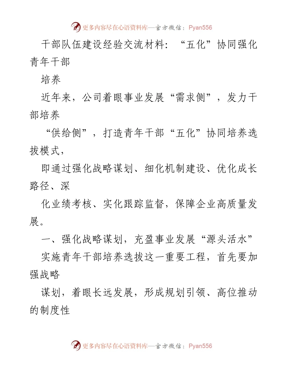 [发言] 干部队伍建设经验交流会 - “五化”协同强化青年干部培养模式探讨.docx_第1页