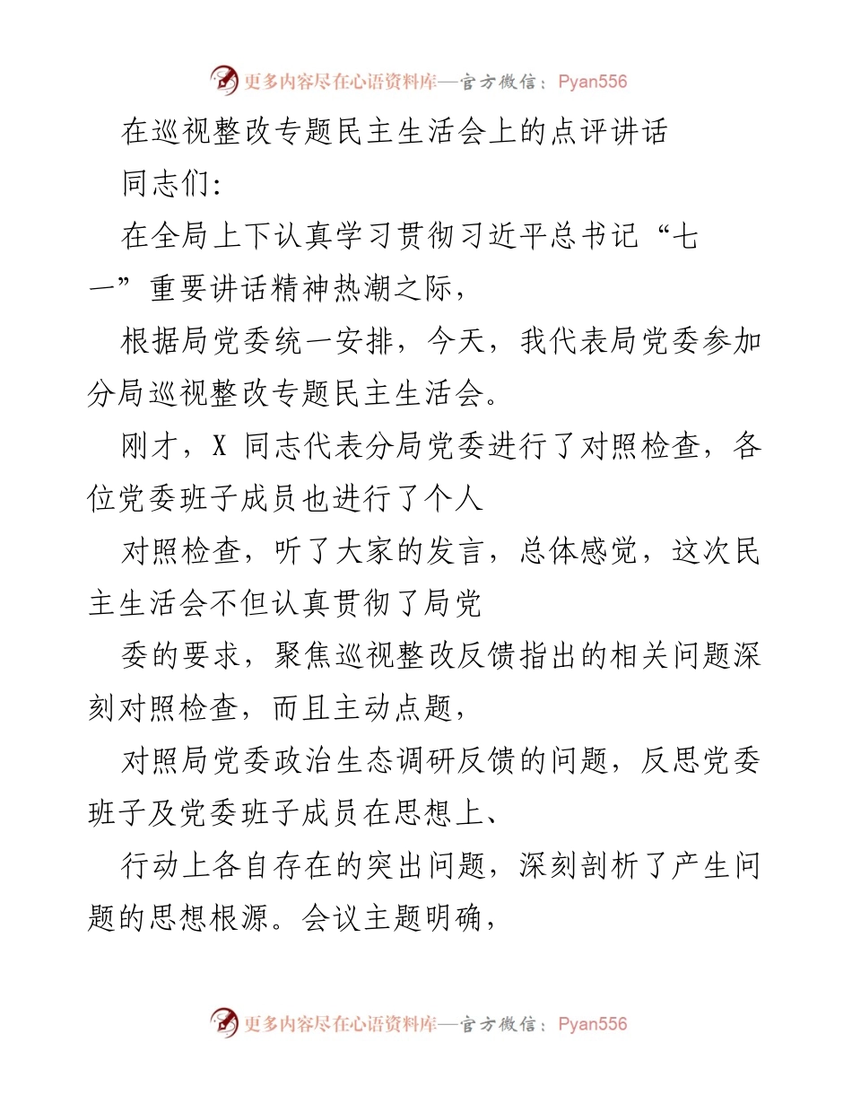 [发言] 巡视整改专题民主生活会 - 深入剖析问题，推动整改落实.docx_第1页