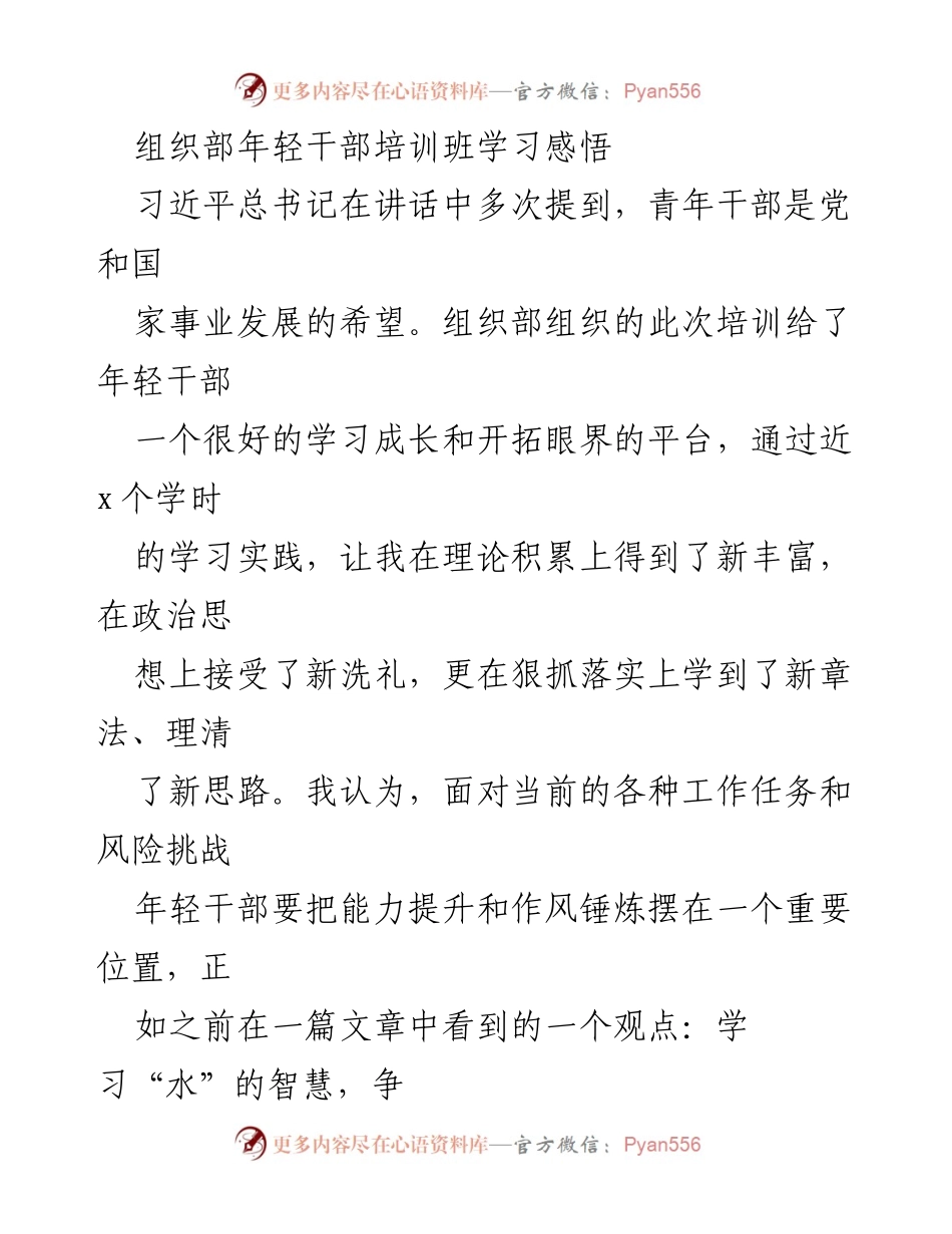 [发言] 年轻干部培训班 - 青年干部的使命与成长之路.docx_第1页