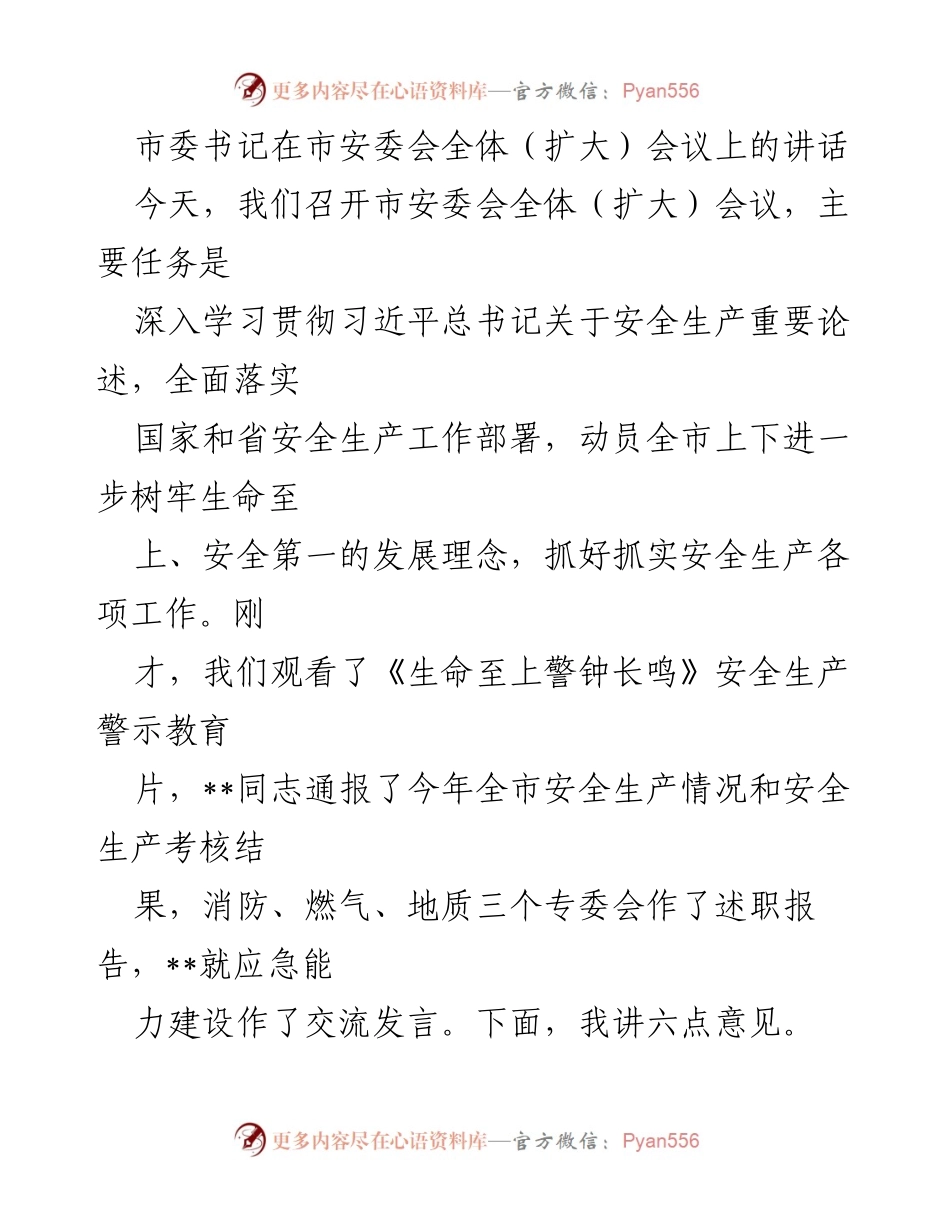 [发言] 市安委会全体（扩大）会议 - 深入贯彻安全生产理念，确保生命至上.docx_第1页