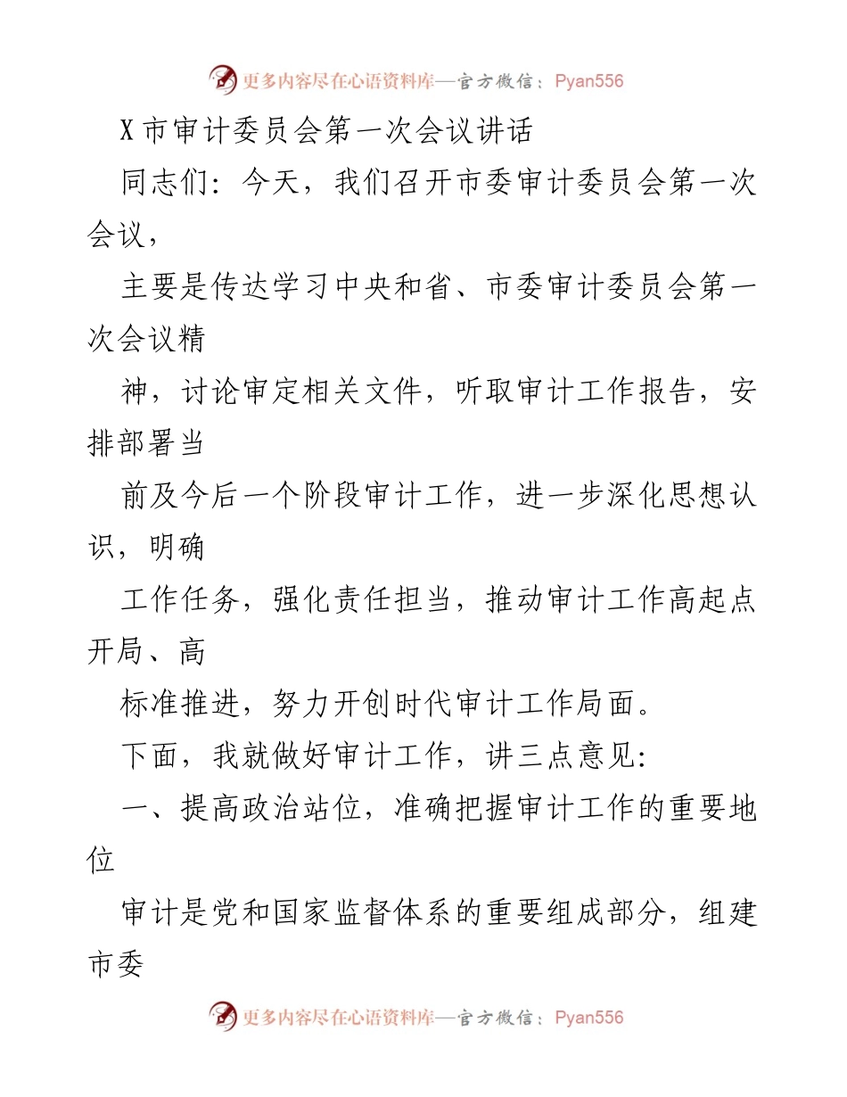 [发言] 市委审计委员会第一次会议 - 深化审计工作，推动高标准开局.docx_第1页