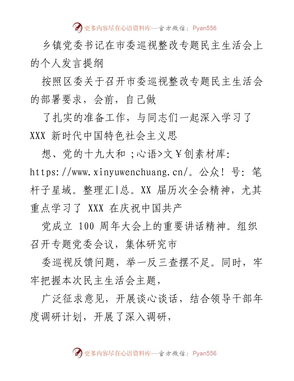 [发言] 市委巡视整改专题民主生活会 - 乡镇党委书记个人发言提纲：巡视整改中的问题与整改措施分析.docx_第1页