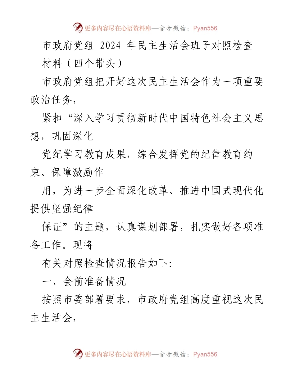 [发言] 市政府党组 2024 年民主生活会 - 市政府党组对照检查情况报告.docx_第1页