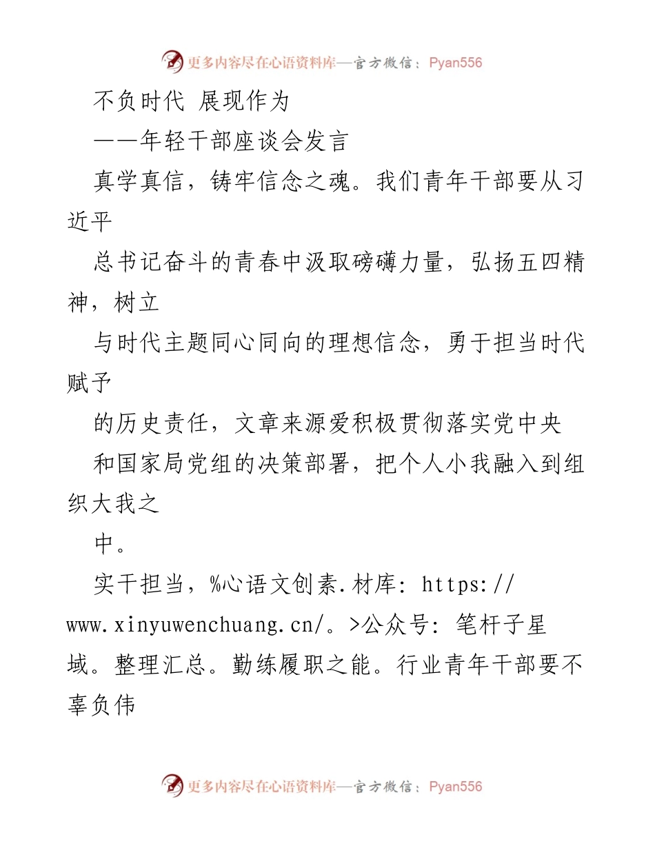 [发言] 年轻干部座谈会 - 不负时代，勇担责任：年轻干部的使命与担当_1.docx_第1页