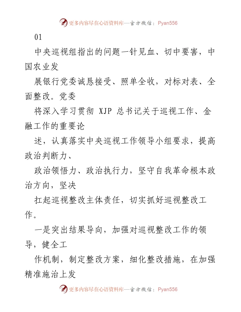[发言] 巡视整改会议 - 全面推进巡视整改，提升金融机构治理能力.docx_第1页