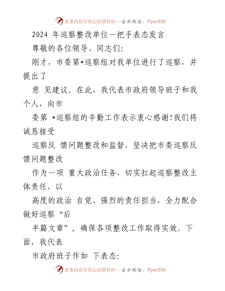 [发言] 巡察整改会议 - 2024年巡察整改单位一把手表态发言.docx_第1页
