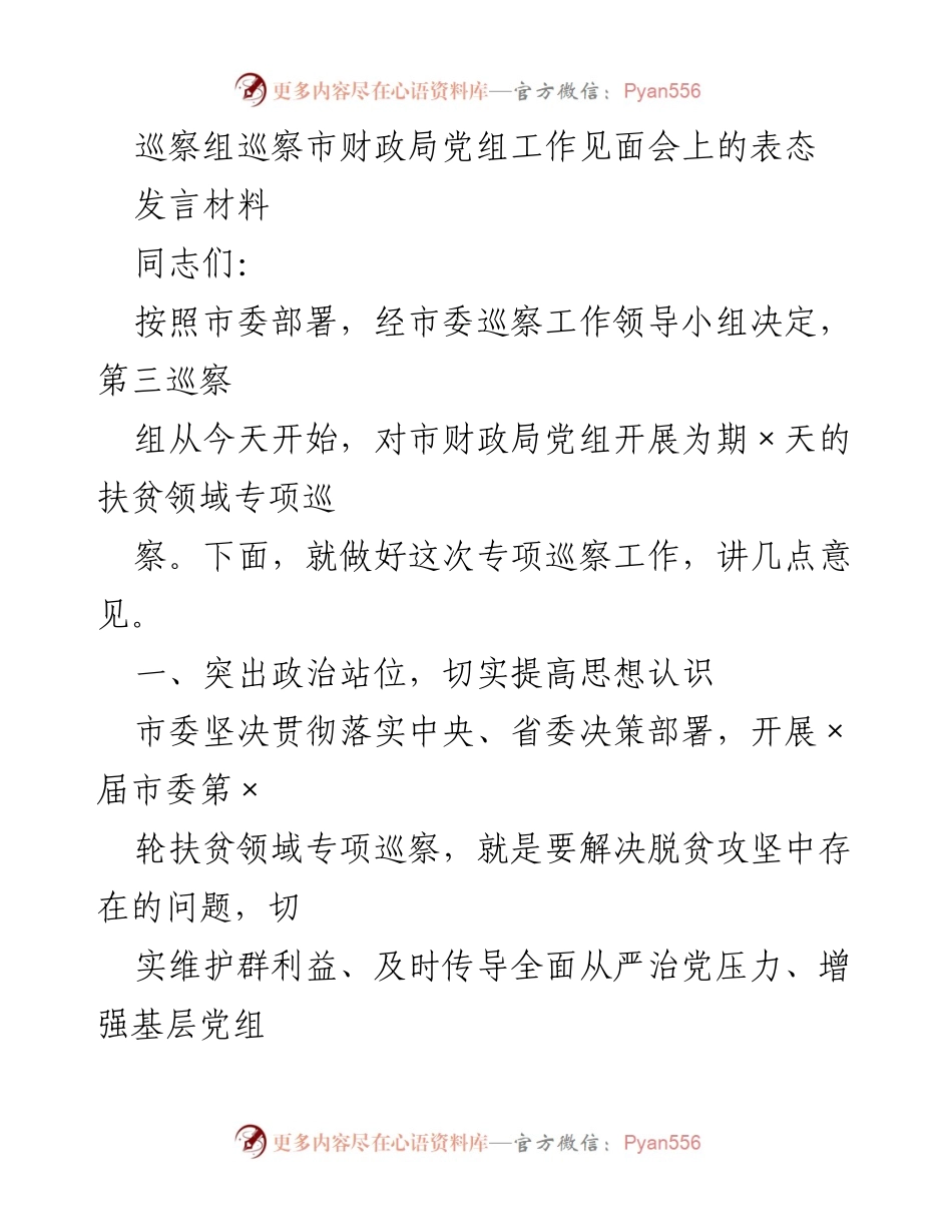 [发言] 巡察组巡察市财政局党组工作见面会 - 加强脱贫攻坚政治责任，确保专项巡察工作落实.docx_第1页