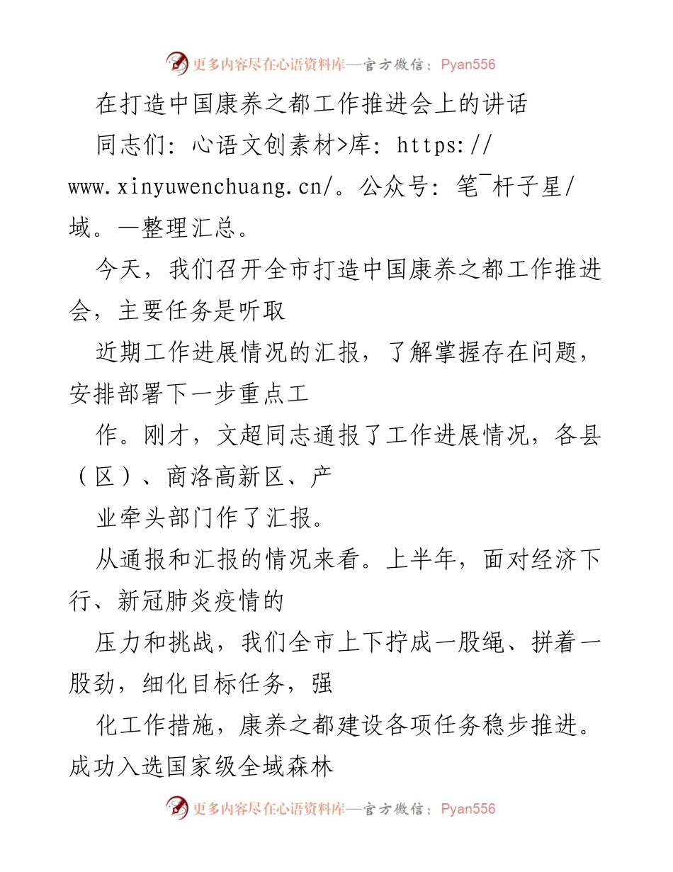 [发言] 工作推进会 - 打造中国康养之都的进展与挑战.docx_第1页