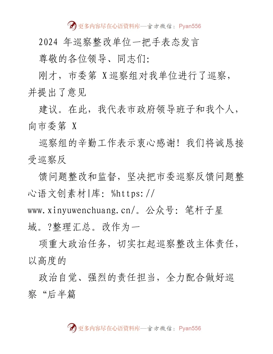 [发言] 巡察整改会议 - 巡察整改表态发言.docx_第1页