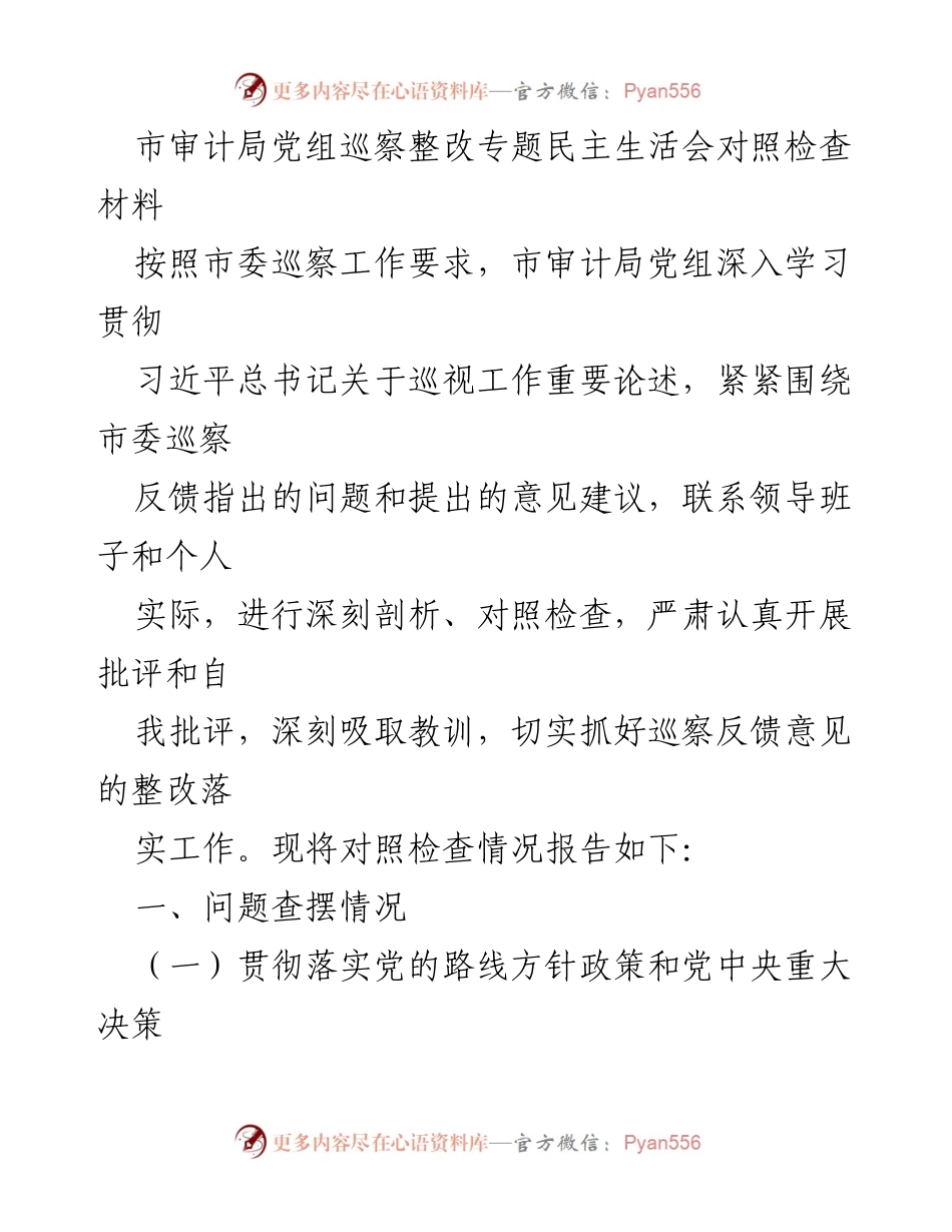 [发言] 市审计局党组巡察整改专题民主生活会 - 深入剖析与整改：市审计局党组巡察反馈问题对照检查.docx_第1页