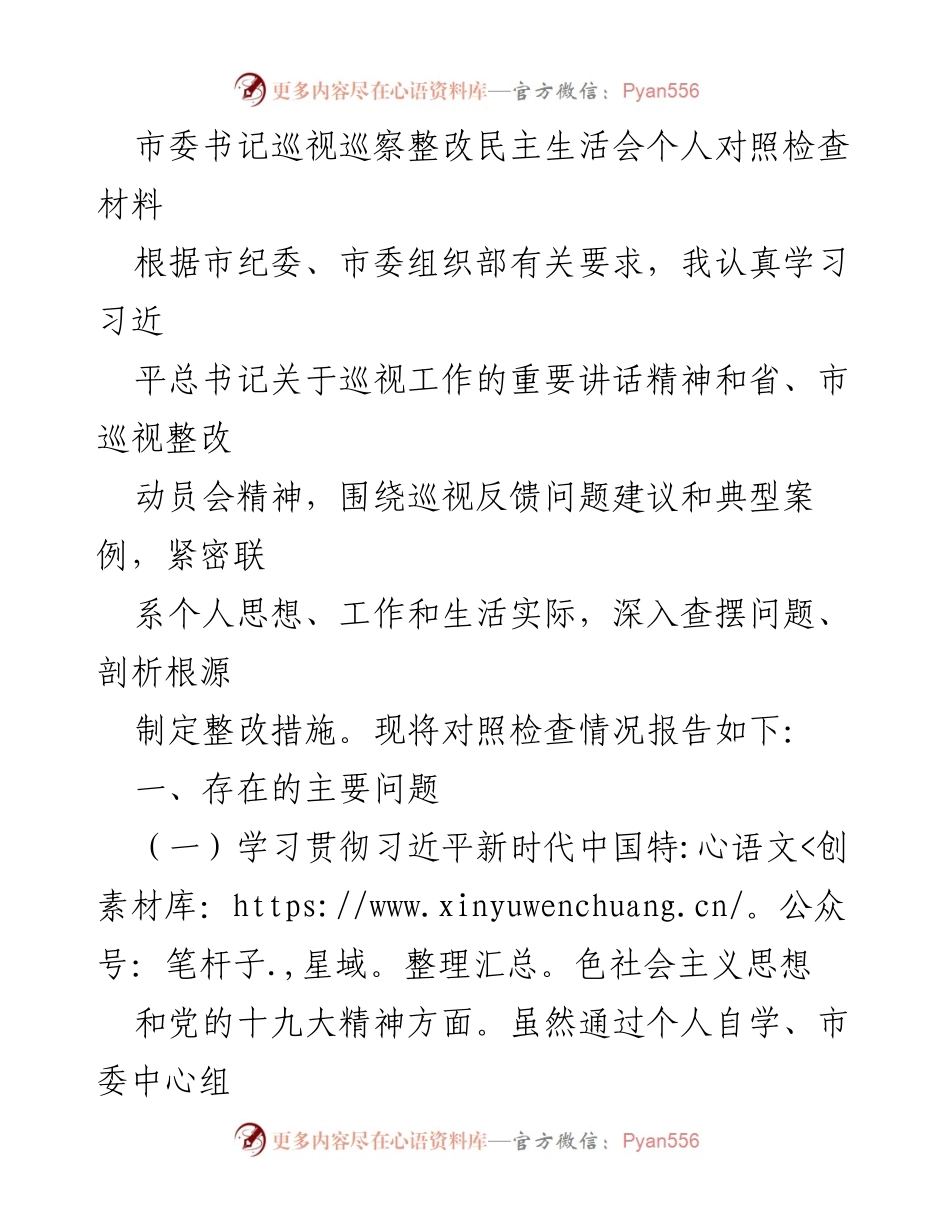 [发言] 市委巡视巡察整改民主生活会 - 巡视整改对照检查个人总结.docx_第1页