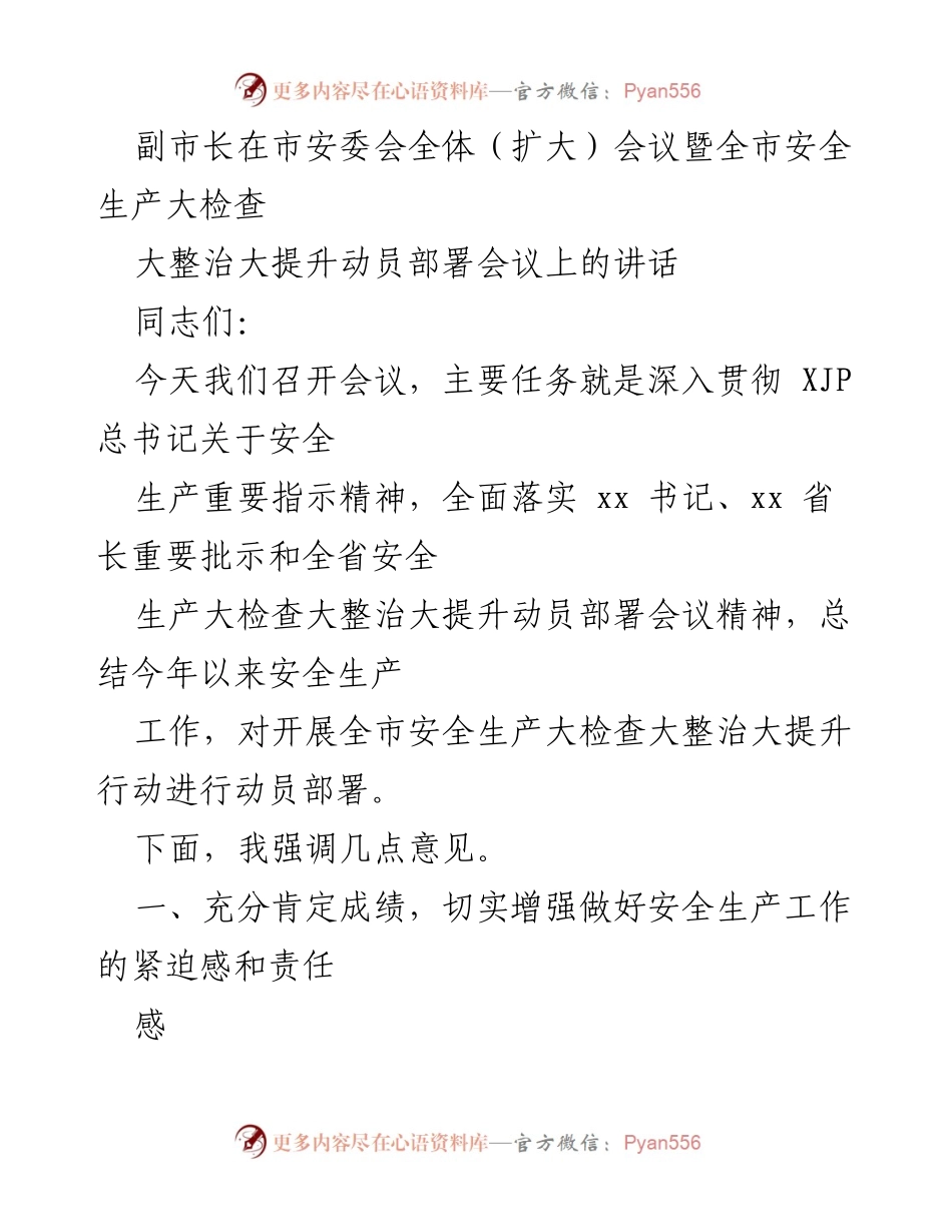 [发言] 市安委会全体（扩大）会议 - 副市长讲话：全面动员部署全市安全生产大检查与整治行动.docx_第1页
