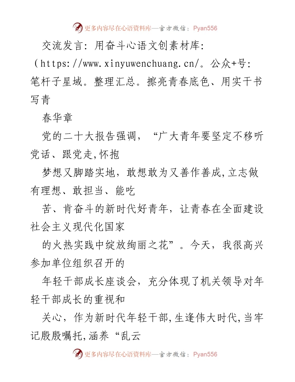 [发言] 年轻干部成长座谈会 - 奋斗青春：新时代年轻干部的理想与担当.docx_第1页