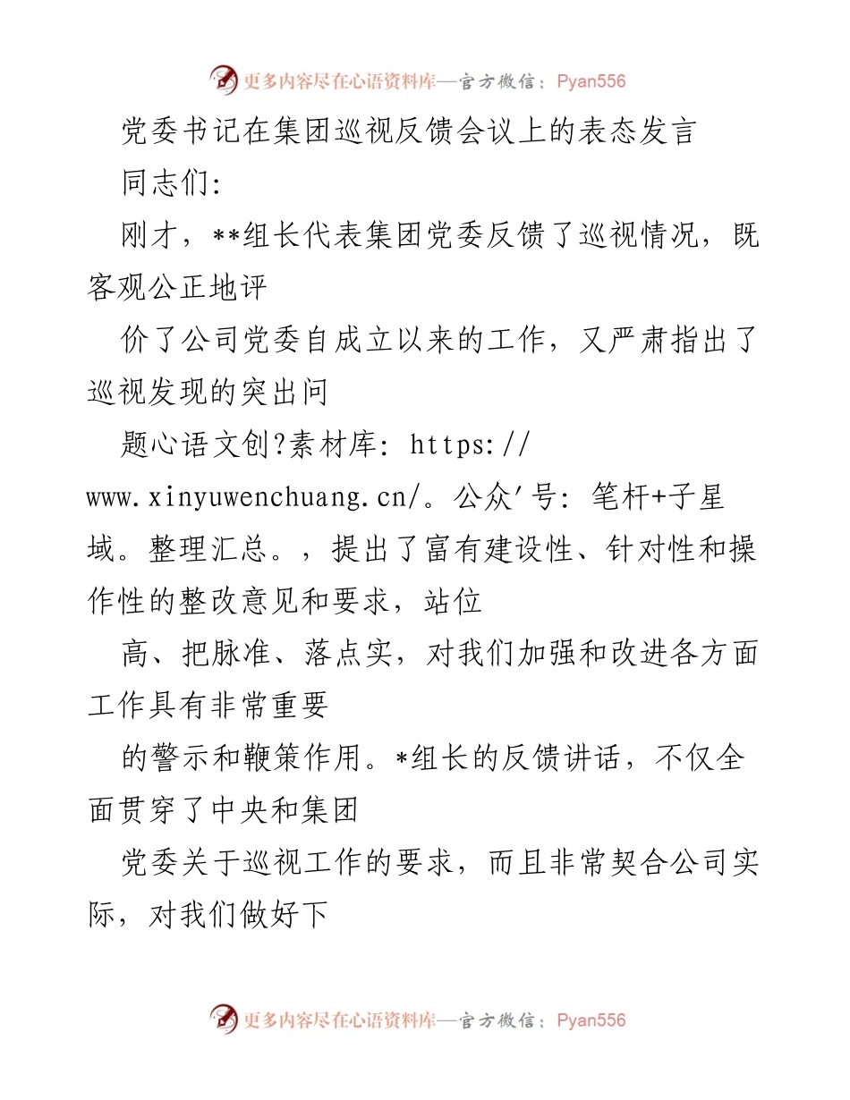 [发言] 巡视反馈会议 - 党委书记的整改表态发言.docx_第1页