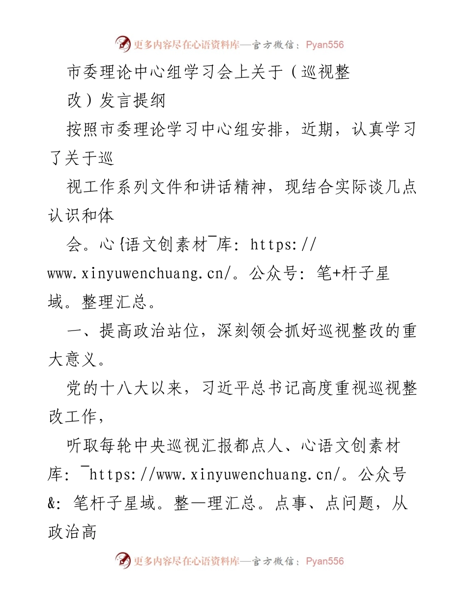 [发言] 市委理论中心组学习会 - 深刻认识巡视整改的重要性与实践路径.docx_第1页