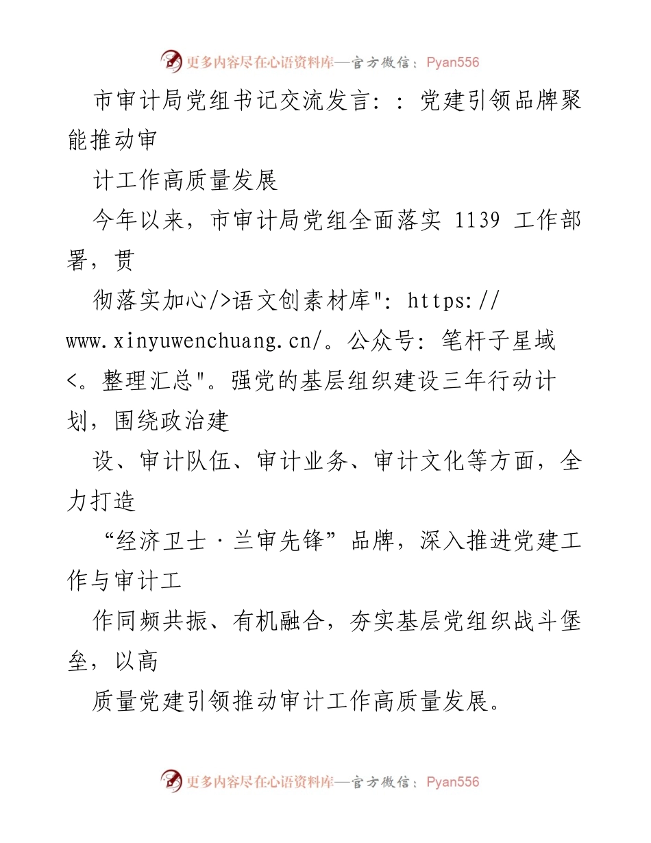 [发言] 市审计局党组书记交流 - 党建引领审计工作高质量发展的实践与思考.docx_第1页