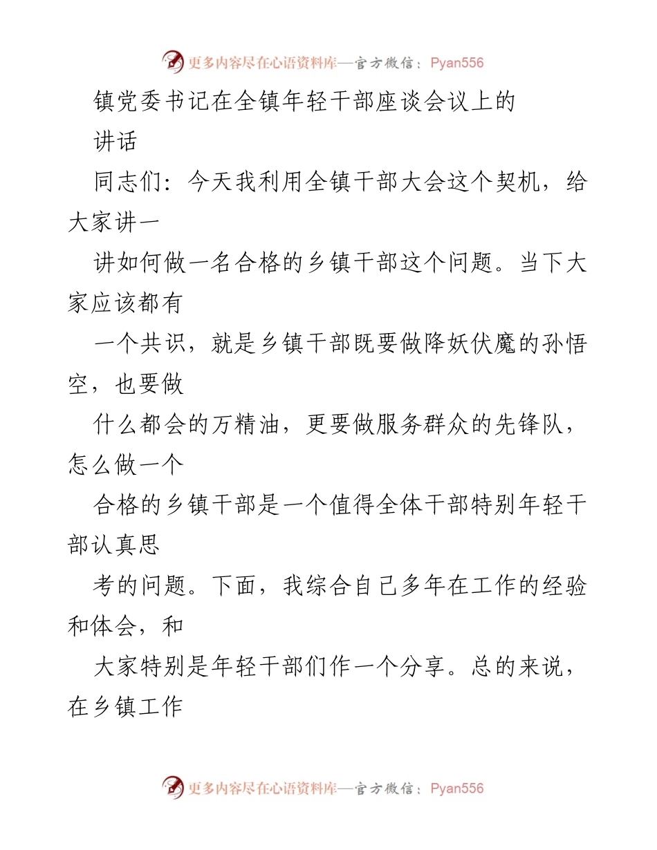 [发言] 年轻干部座谈会议 - 如何做一名合格的乡镇干部.docx_第1页
