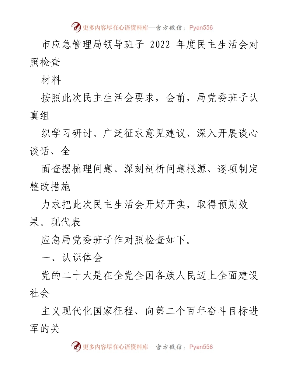 [发言] 市应急管理局  - 2022年度民主生活会对照检查总结.docx_第1页