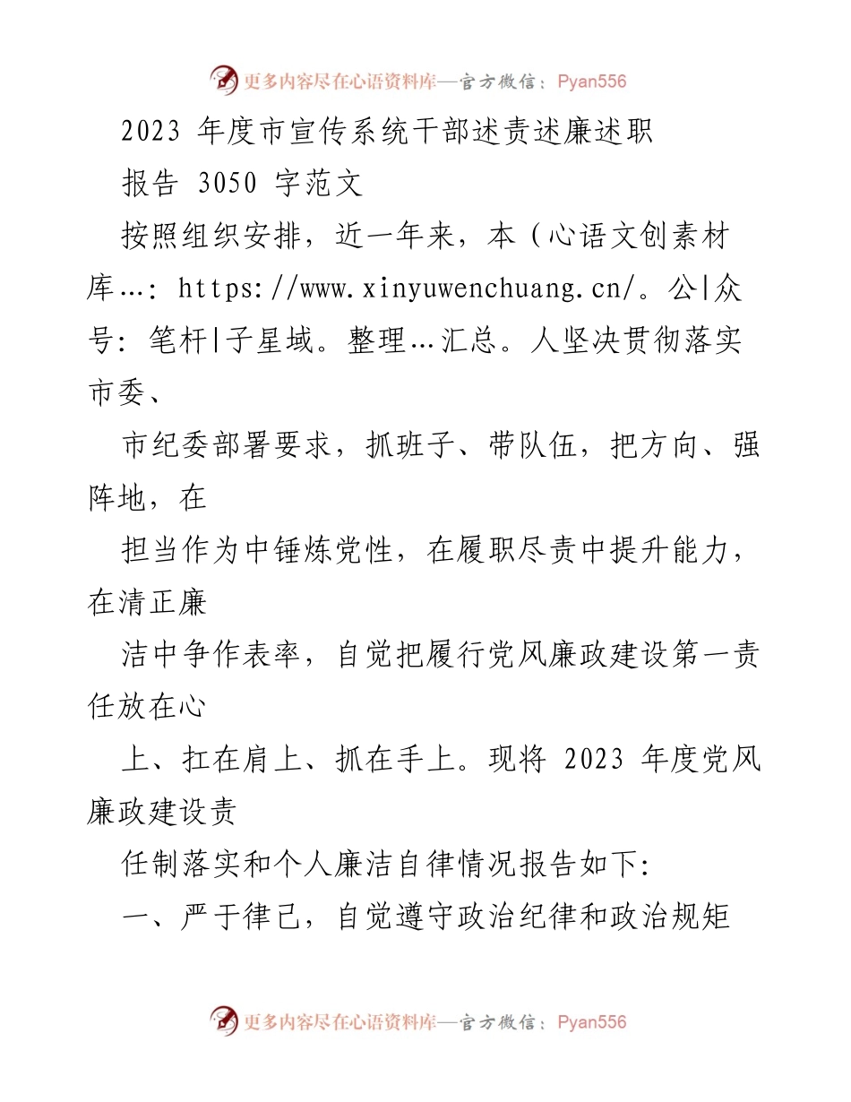 [发言] 年度总结 - 2023年度市宣传系统干部述责述廉述职报告.docx_第1页