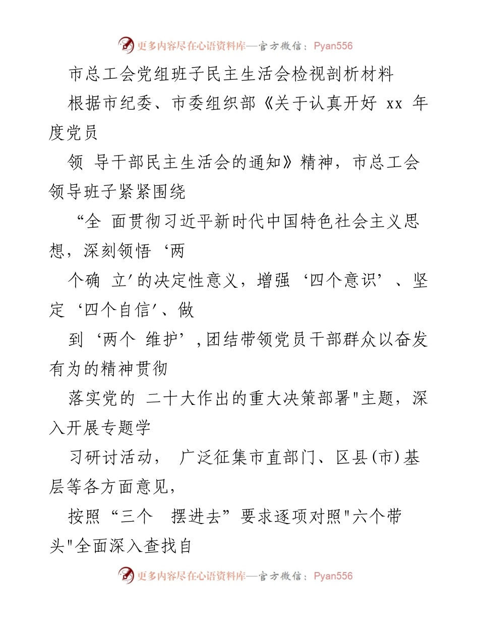 [发言] 市总工会党组班子民主生活会 - 深入检视与剖析：增强政治意识，落实“两个维护”.docx_第1页