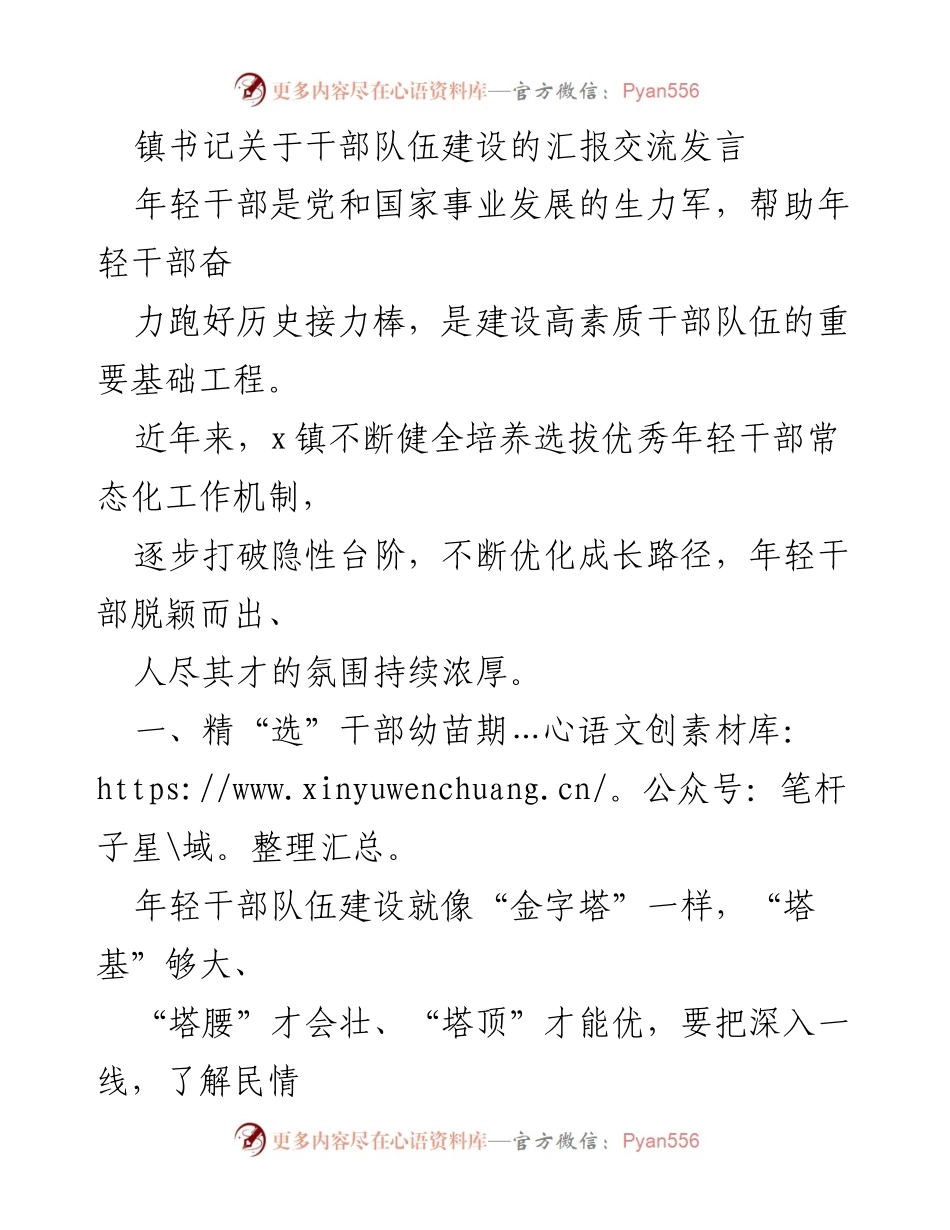[发言] 干部队伍建设交流 - 加强年轻干部培养，助力高素质队伍建设.docx_第1页