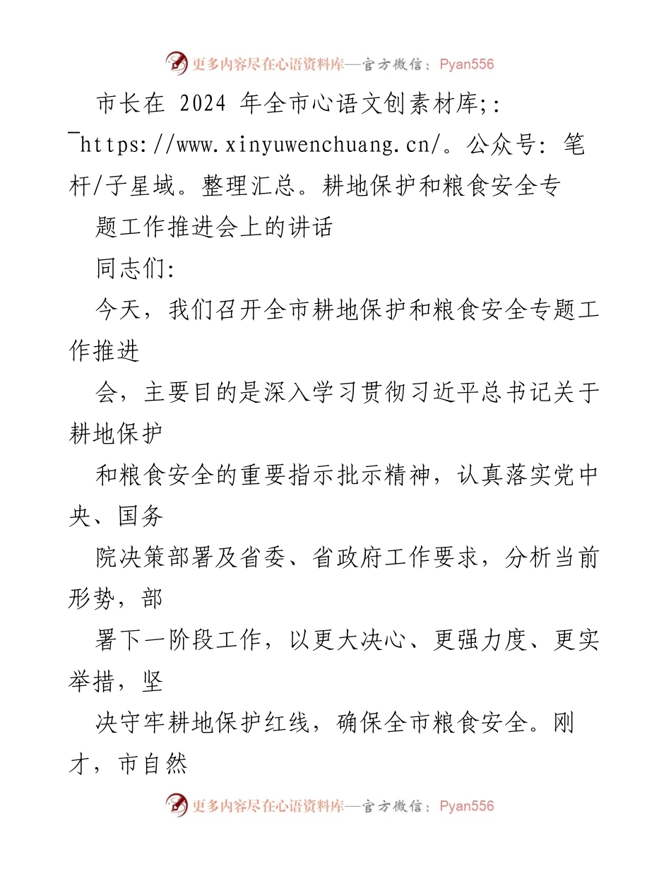 [发言] 工作推进会 - 加强耕地保护与粮食安全的决心与措施.docx_第1页