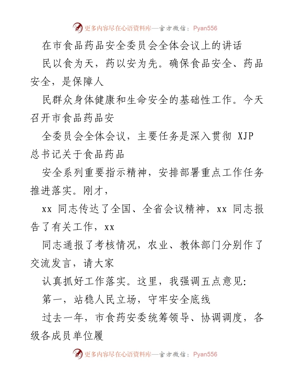 [发言] 市食品药品安全委员会全体会议 - 确保食品药品安全，提升监管能力.docx_第1页