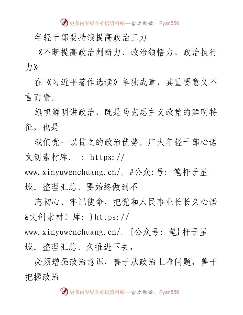 [发言] 年轻干部培训会议 - 提升年轻干部的政治三力：判断力、领悟力与执行力.docx_第1页