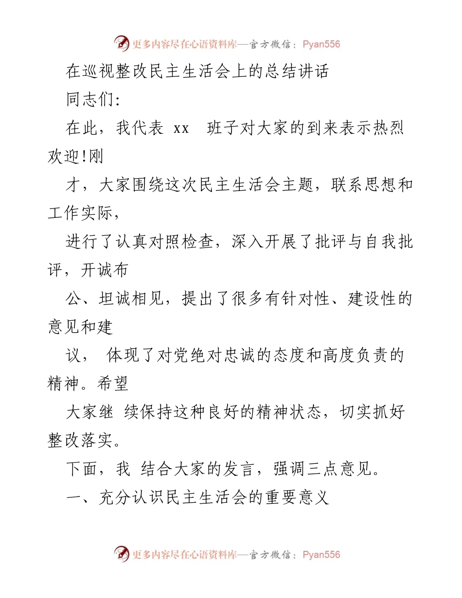 [发言] 巡视整改民主生活会 - 强调民主生活会的重要性与整改落实责任.docx_第1页