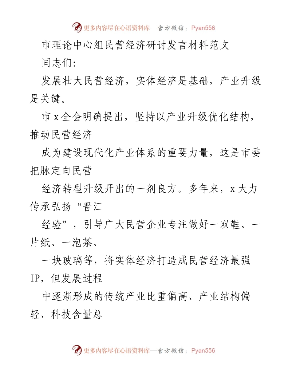 [发言] 市理论中心组民营经济研讨 - 推动民营经济高质量发展与产业升级的路径探讨.docx_第1页