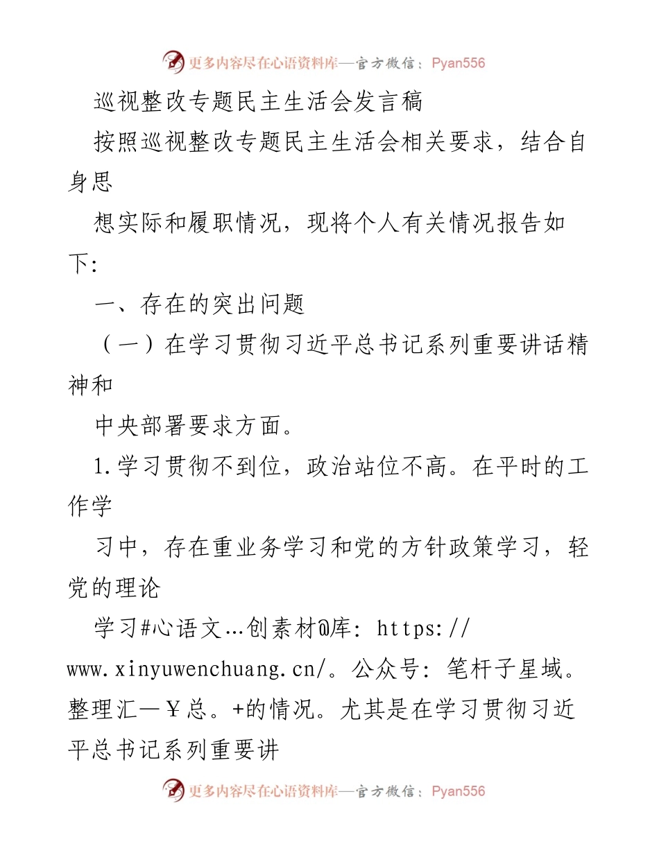 [发言] 巡视整改专题民主生活会 - 深化理论学习，提升政治站位与执行力.docx_第1页