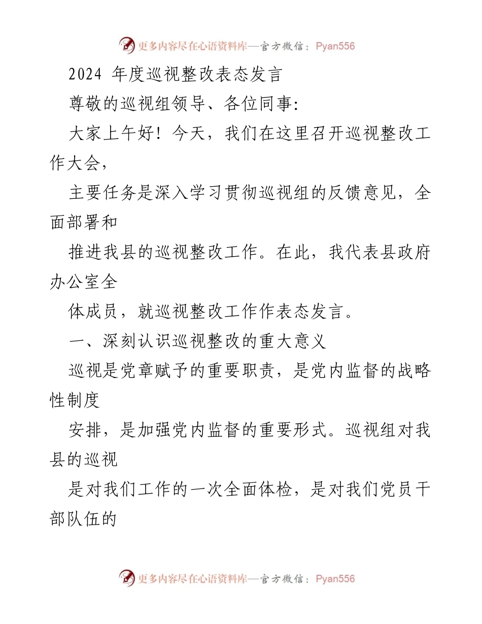 [发言] 巡视整改工作大会 - 2024年度巡视整改表态发言.docx_第1页
