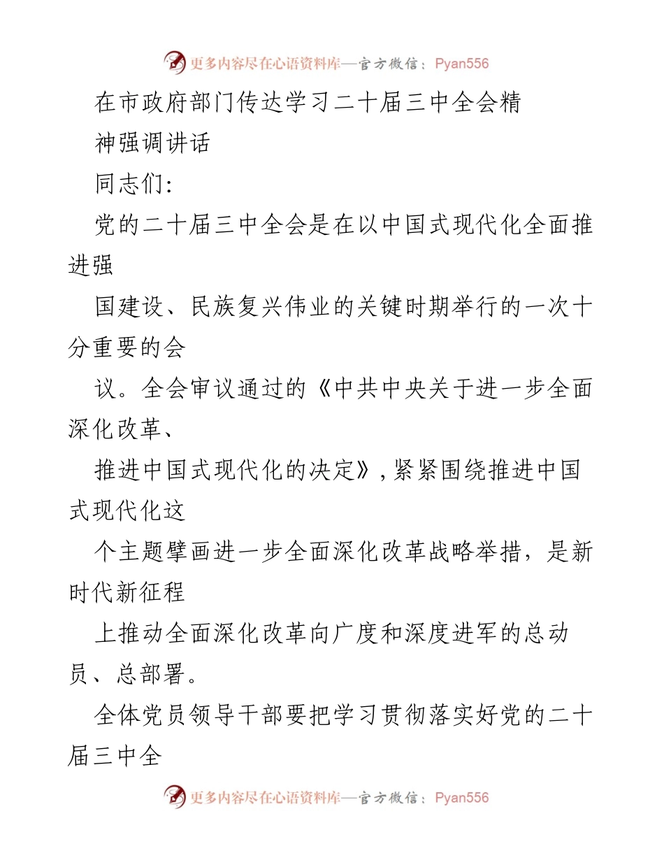 [发言] 市政府部门学习会议 - 深入学习贯彻党的二十届三中全会精神.docx_第1页