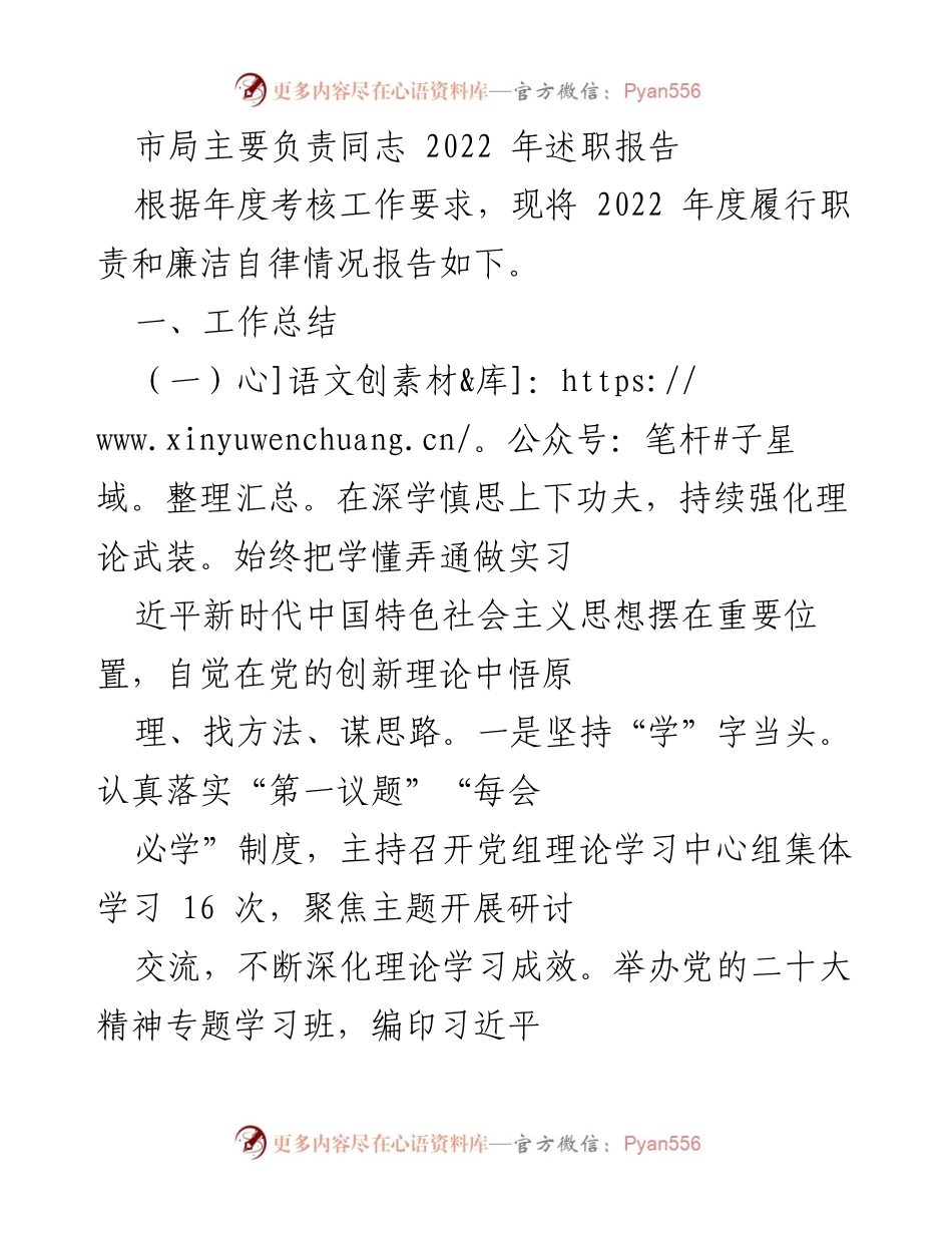 [发言] 年度述职 - 2022年度市局主要负责同志述职报告总结.docx_第1页