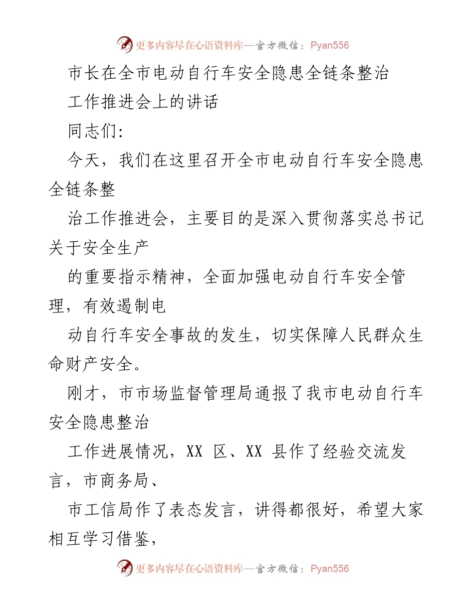 [发言] 工作推进会 - 加强电动自行车安全隐患整治，保障人民生命财产安全.docx_第1页