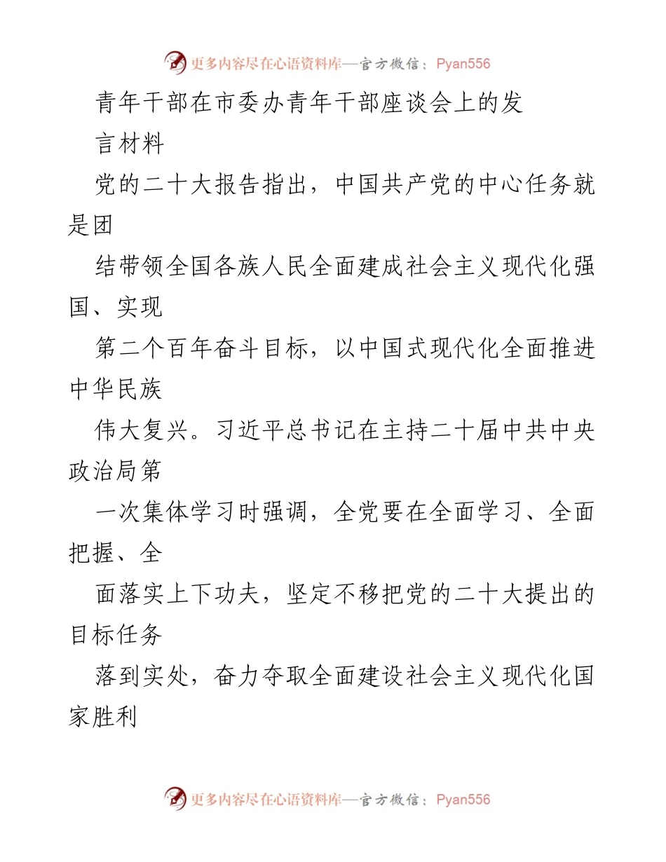 [发言] 市委办青年干部座谈会 - 青年干部的使命与责任：推动社会主义现代化的实践与思考.docx_第1页
