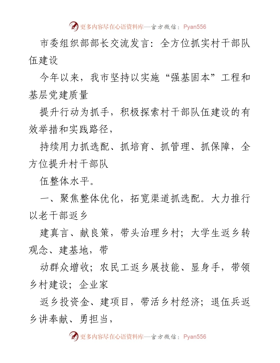 [发言] 市委组织部交流会 - 全面提升村干部队伍建设的有效举措.docx_第1页