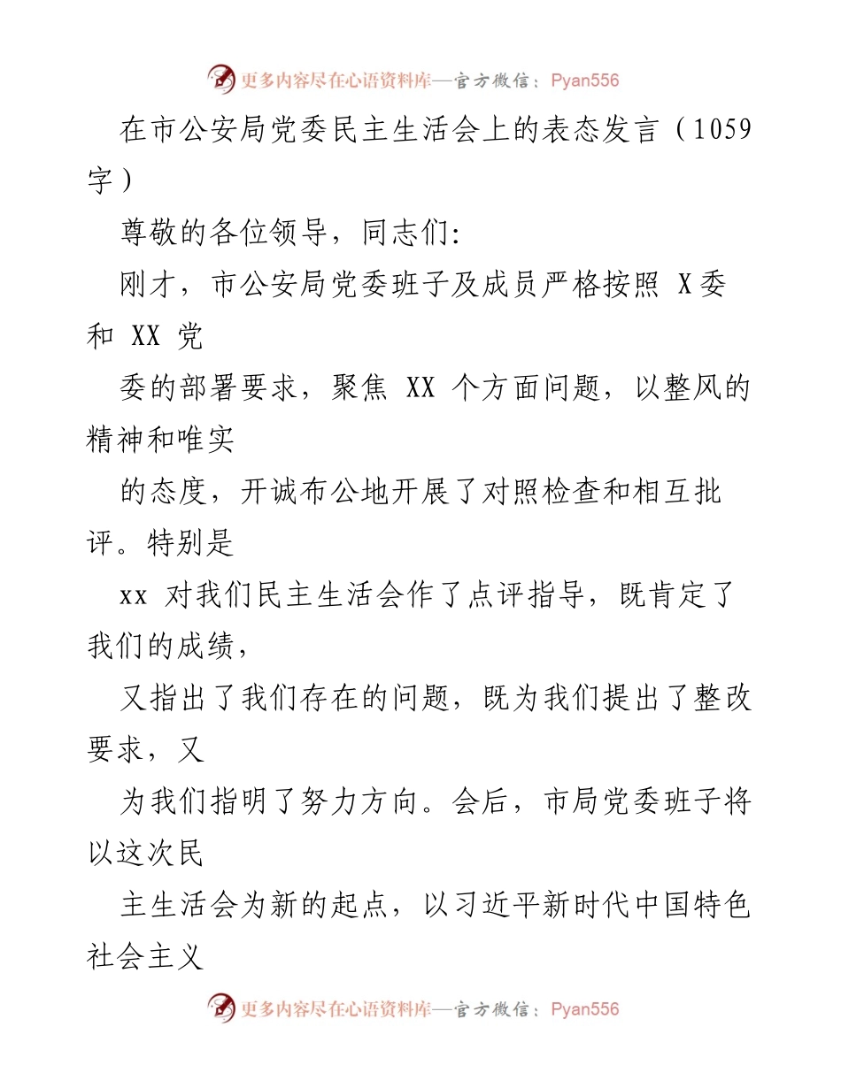 [发言] 市公安局党委民主生活会 - 深化理论武装，强化责任落实，坚决整改问题.docx_第1页