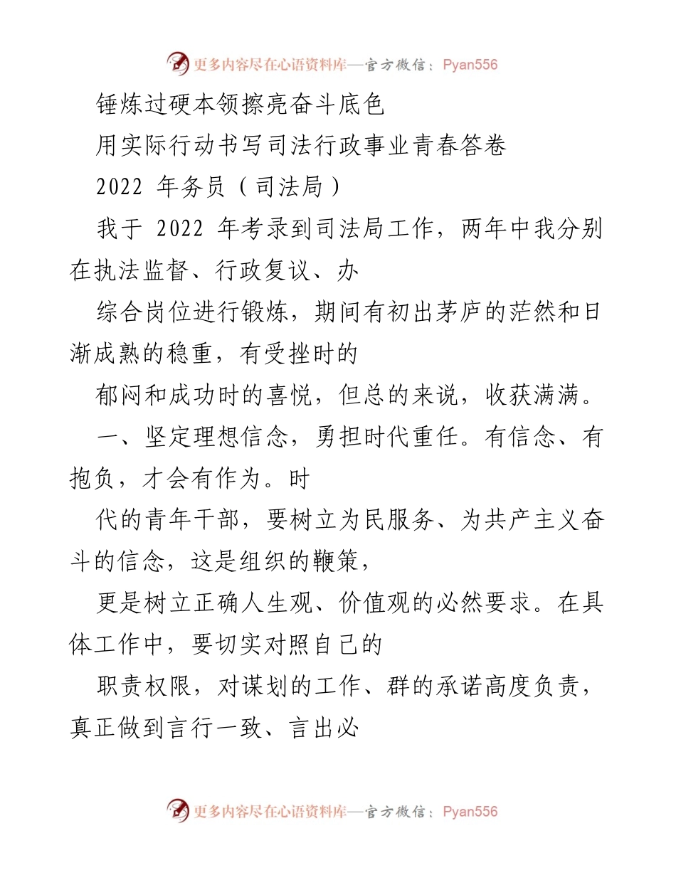 [发言] 年度总结 - 青年干部的成长与担当.docx_第1页