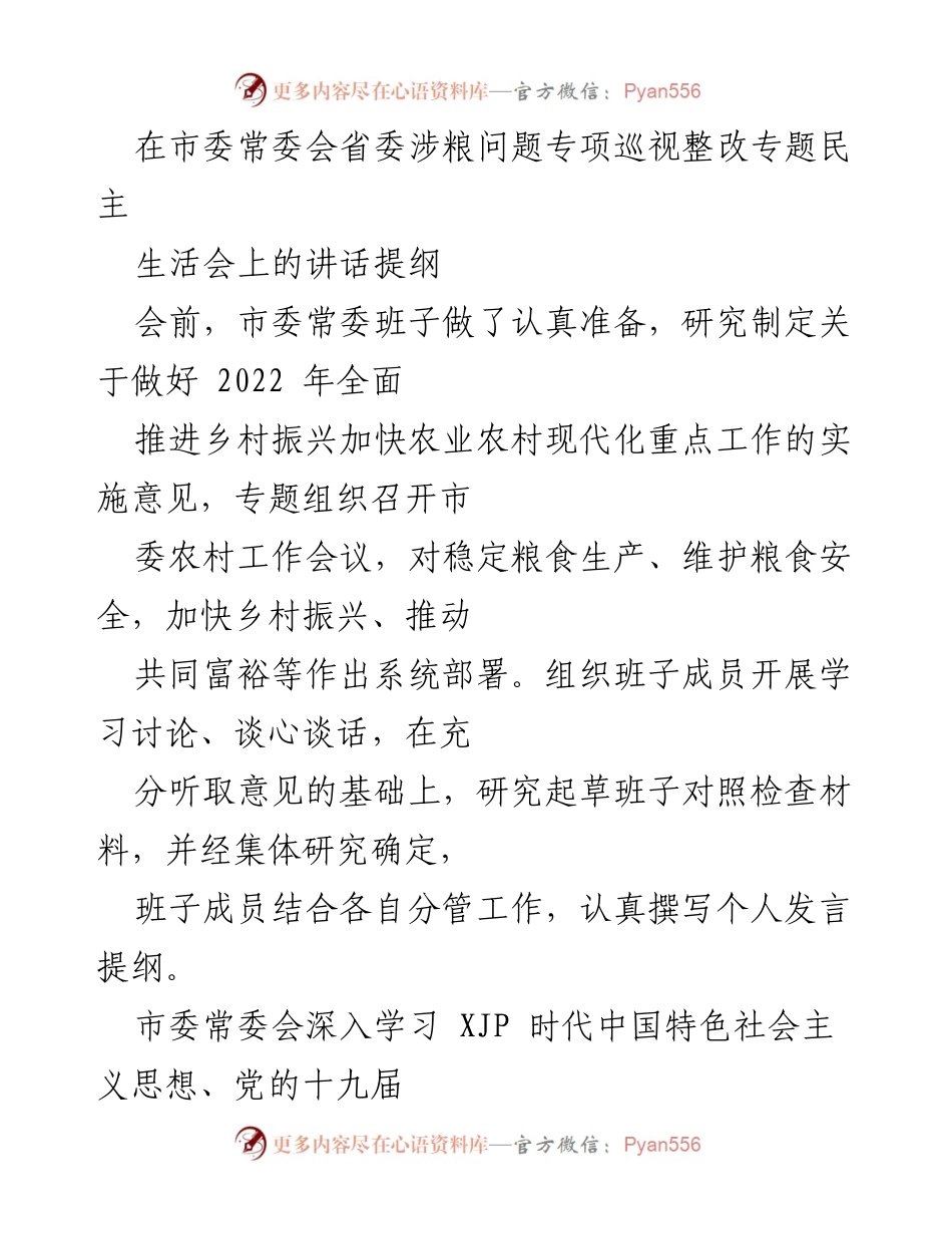 [发言] 市委常委会会议 - 深入推进粮食安全与巡视整改的政治责任.docx_第1页