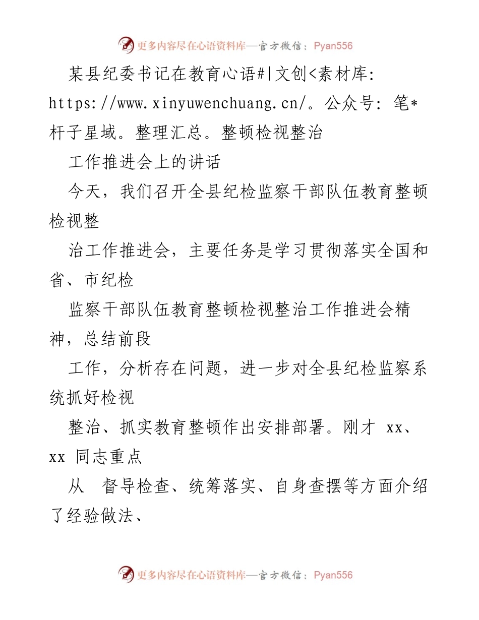 [发言] 工作推进会 - 加强检视整治，推动纪检监察教育整顿工作.docx_第1页