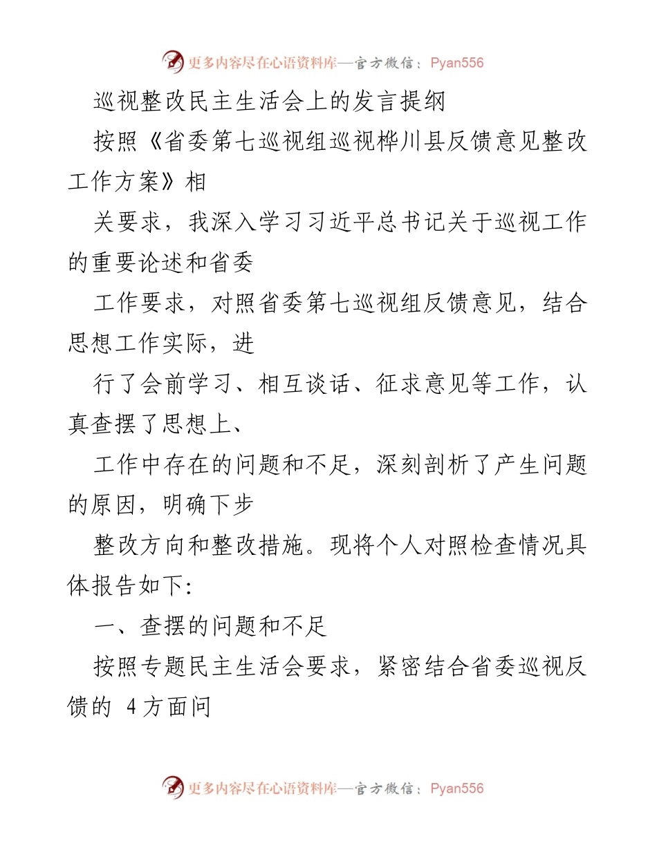 [发言] 巡视整改民主生活会 - 巡视整改中的问题查摆与整改措施分析.docx_第1页