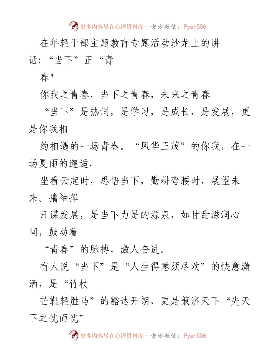 [发言] 年轻干部主题教育专题活动沙龙 - 当下之青春：信仰与实干的融合.docx_第1页